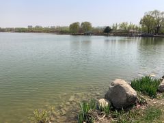 -大兴滨河森林公园