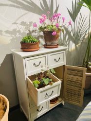 -芳香乐府疗愈空间·SPA·冥想