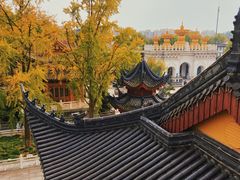 -上海东林寺(金山区)