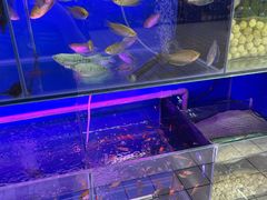 -大润发(康桥店)