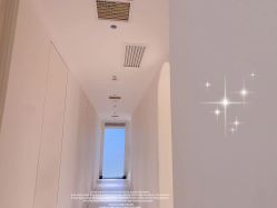 -紫御国际抗衰ZOE ANTI AGING