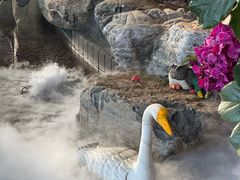 -东方华地城湿地温泉度假区