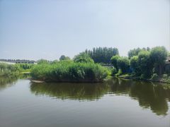 -白洋淀风景区