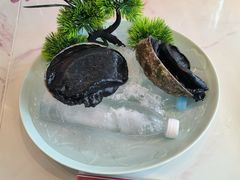 -南海渔村·空中一号