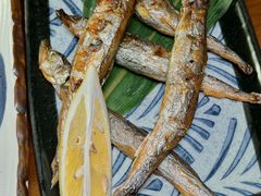 -鸟泉居酒屋·烧鸟·酒馆(百子湾店)