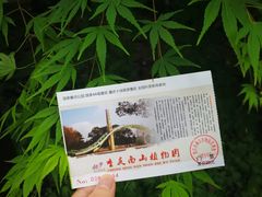-南山植物园