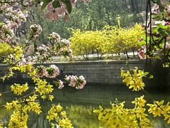 -元大都城垣遗址公园