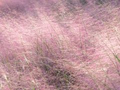 -钟山体育运动公园