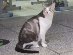 -谜盒子奇幻密室(南屏店)