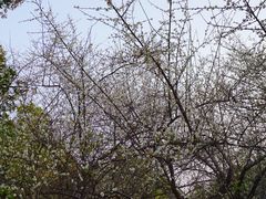 -金山公园
