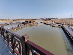 -宁波杭州湾国家湿地公园