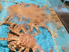 -徐记海鲜(南油永新汇店)