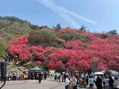 -木兰云雾山