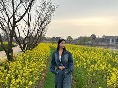 -杭州湾海上花田景区