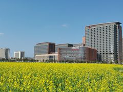 -光明小镇欢乐田园