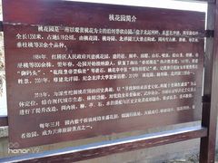 -桃花堤公园