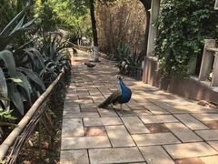 -昆明动物园