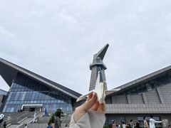 -盐城丹顶鹤湿地生态旅游区