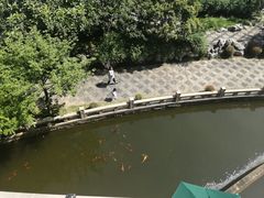 -苏州吴宫泛太平洋酒店