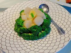 碧绿澳洲带子-申粤轩酒楼·三十年粤菜经典(丁香花园店)