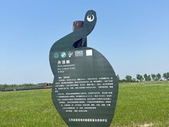 -盐城丹顶鹤湿地生态旅游区