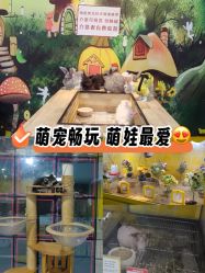 -神奇动物撸宠馆·羊驼·小浣熊·异宠(豫园店)