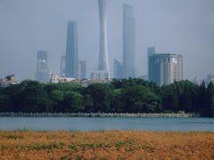 -海珠湖公园
