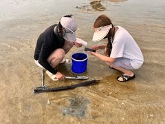 -北海金海湾红树林生态旅游区