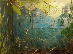 -上海大自然野生昆虫馆(东方明珠·爬宠昆虫探索中心)