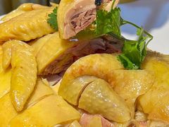 -新高记·粤菜·湛江鸡(南头古城店)