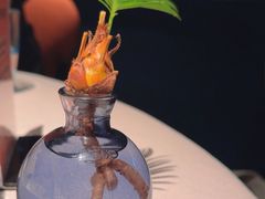 -三利音·玖弄小鲜(浦东嘉里城店)