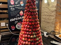 -北京乐多港万豪酒店·臻厨