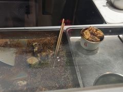 -逐豆匠(望京店)