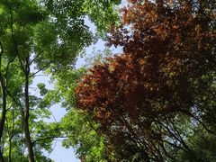 -宜兴龙背山森林公园