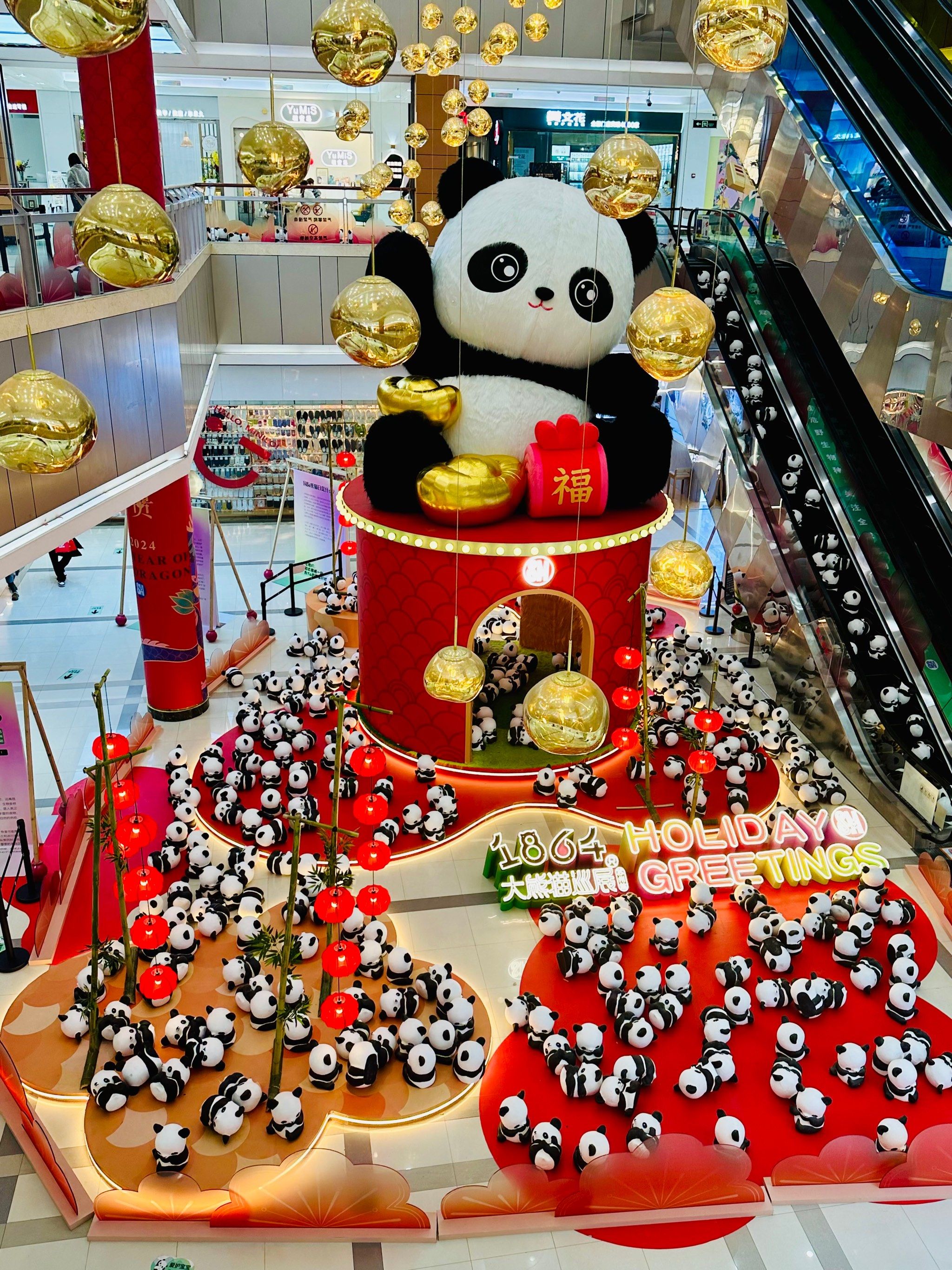 1864大熊猫巡展终于到苏州站啦