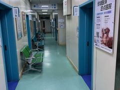 -北京观赏动物医院·24小时大型综合·猫专科·异宠专科