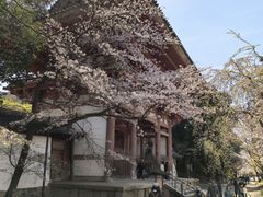 -醍醐寺