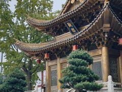 -上海东林寺(金山区)