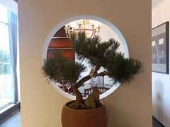 -茉莉花空中花园餐厅(义乌店)