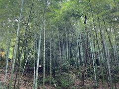 -韬光茶庵