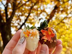 -玉渡山自然风景区