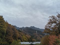 -朱雀国家森林公园