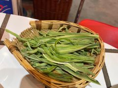 -朱光玉火锅馆(正弘城店)