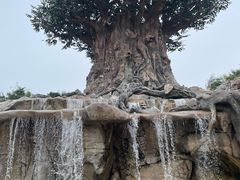 -郑州银基国际旅游度假区