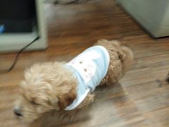 -东吴水韵(吴中店)