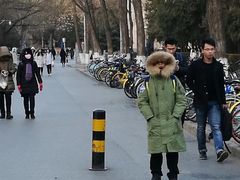 -北大学一食堂