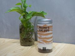 -素匠泰茶(三里屯SOHO工体奶茶店)