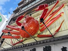 -蟹道乐(道顿堀本店)