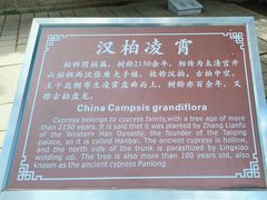 -青岛崂山太清宫