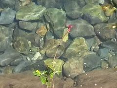 android_upload_pic-紫云谷景区